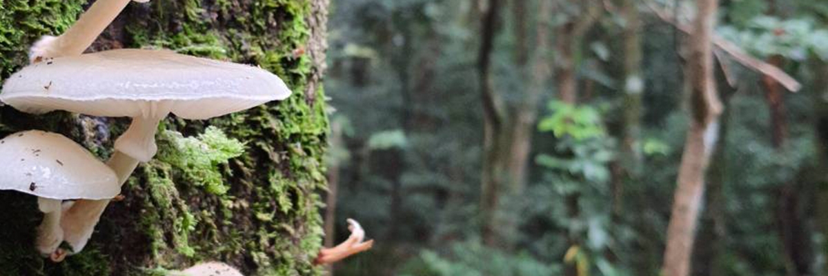 永續經營。綠能環保